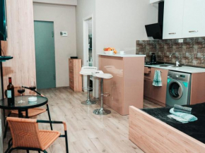 The nice cozy flat in tbilisi